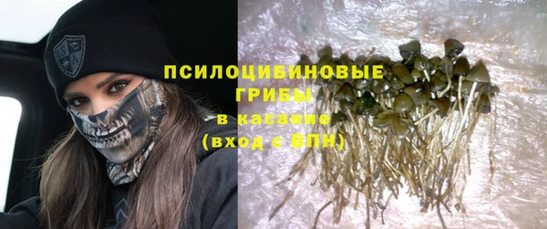 герыч Бородино